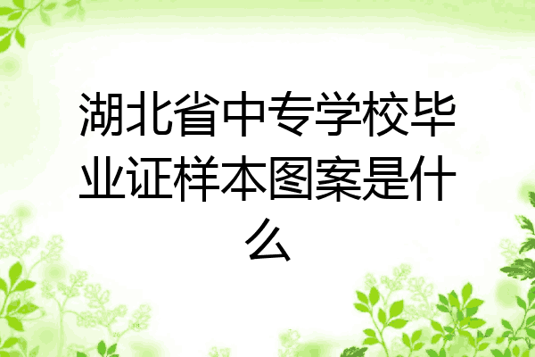 湖北省中专学校毕业证样本图案是什么