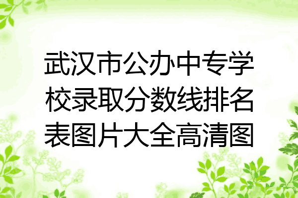 武汉市公办中专学校录取分数线排名表图片大全高清图