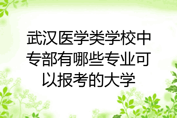 武汉医学类学校中专部有哪些专业可以报考的大学