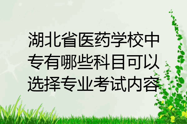 湖北省医药学校中专有哪些科目可以选择专业考试内容