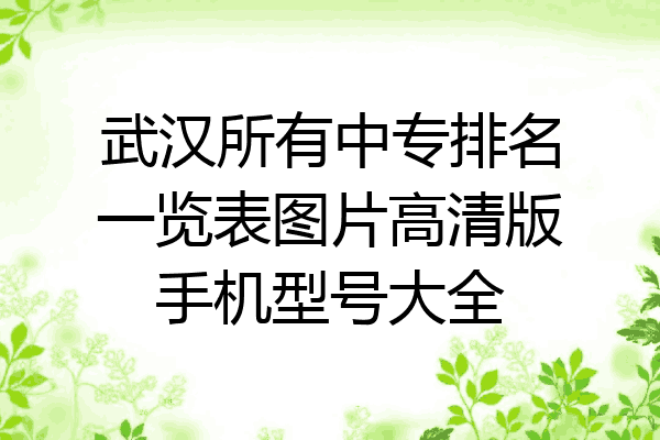 武汉所有中专排名一览表图片高清版手机型号大全