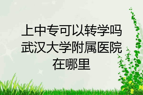 上中专可以转学吗武汉大学附属医院在哪里
