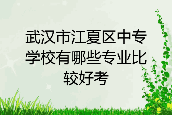 武汉市江夏区中专学校有哪些专业比较好考