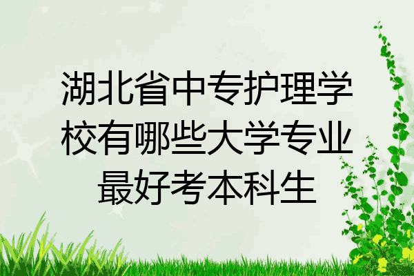 湖北省中专护理学校有哪些大学专业最好考本科生