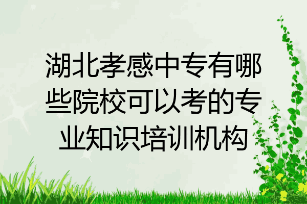 湖北孝感中专有哪些院校可以考的专业知识培训机构