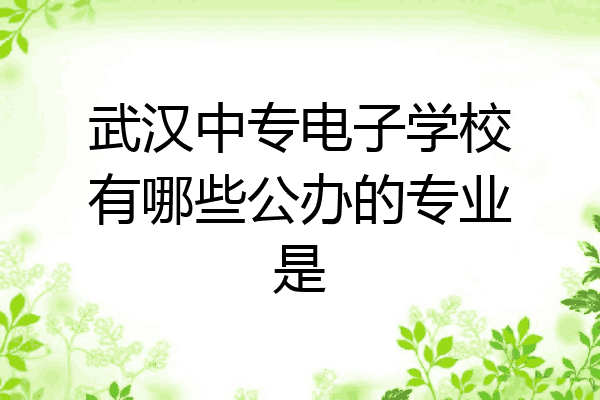 武汉中专电子学校有哪些公办的专业是