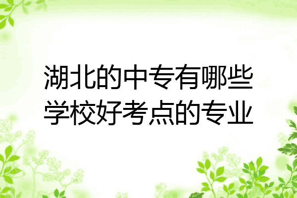 湖北的中专有哪些学校好考点的专业