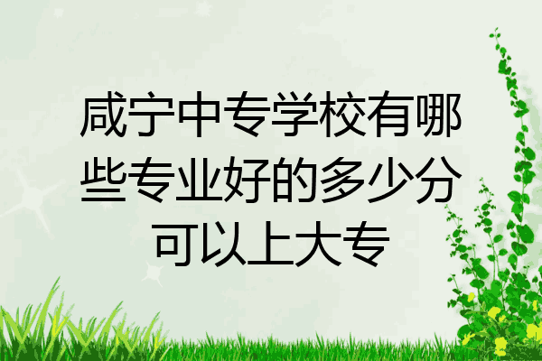 咸宁中专学校有哪些专业好的多少分可以上大专