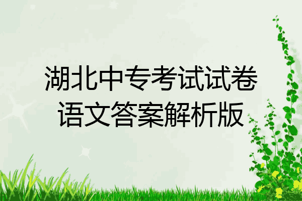 湖北中专考试试卷语文答案解析版