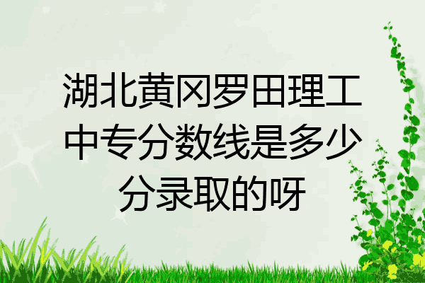 湖北黄冈罗田理工中专分数线是多少分录取的呀