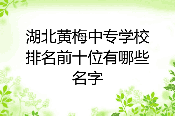 湖北黄梅中专学校排名前十位有哪些名字