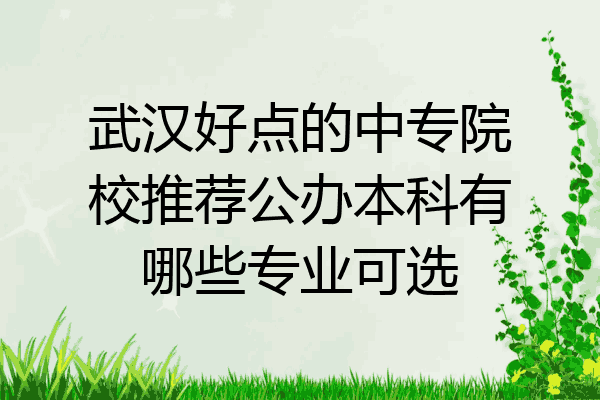 武汉好点的中专院校推荐公办本科有哪些专业可选