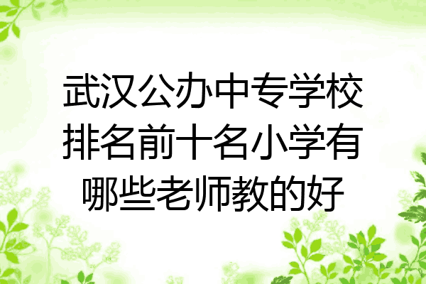 武汉公办中专学校排名前十名小学有哪些老师教的好