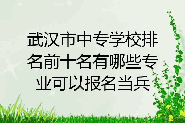 武汉市中专学校排名前十名有哪些专业可以报名当兵