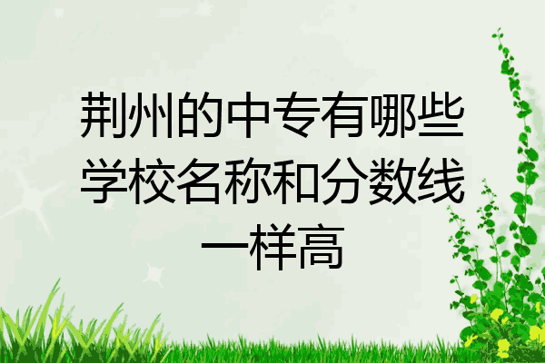 荆州的中专有哪些学校名称和分数线一样高