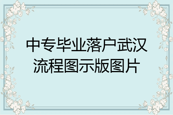 中专毕业落户武汉流程图示版图片