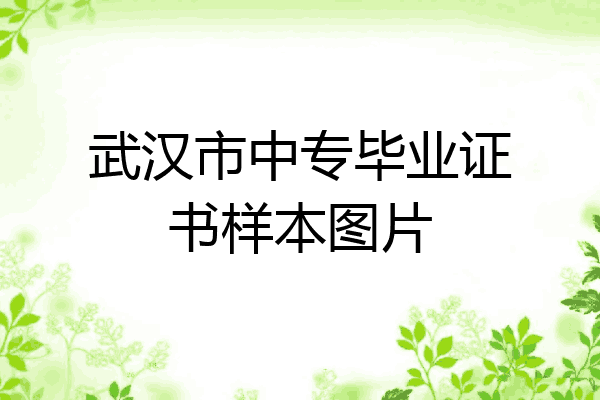 武汉市中专毕业证书样本图片