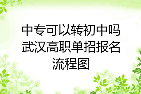 中专可以转初中吗武汉高职单招报名流程图