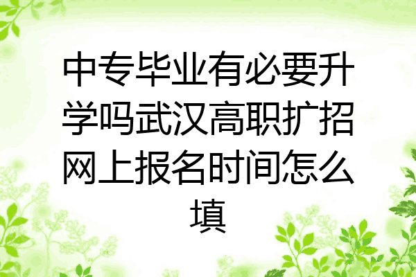 中专毕业有必要升学吗武汉高职扩招网上报名时间怎么填