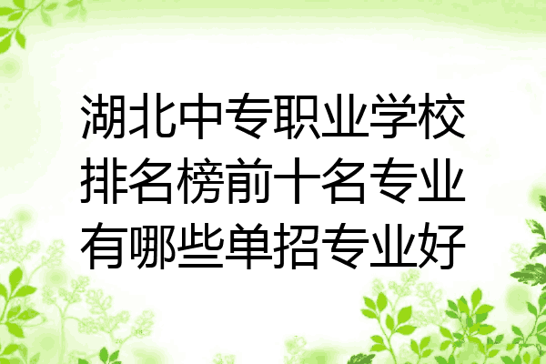 湖北中专职业学校排名榜前十名专业有哪些单招专业好