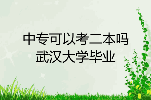 中专可以考二本吗武汉大学毕业