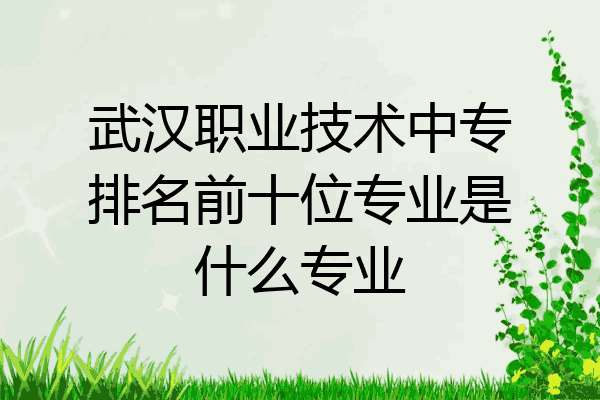武汉职业技术中专排名前十位专业是什么专业