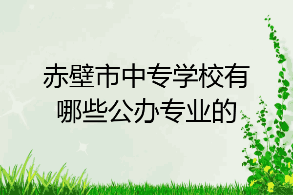 赤壁市中专学校有哪些公办专业的
