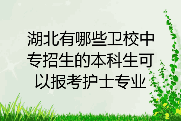 湖北有哪些卫校中专招生的本科生可以报考护士专业