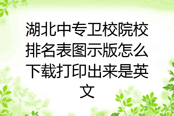 湖北中专卫校院校排名表图示版怎么下载打印出来是英文