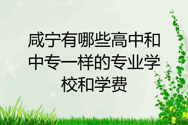 咸宁有哪些高中和中专一样的专业学校和学费