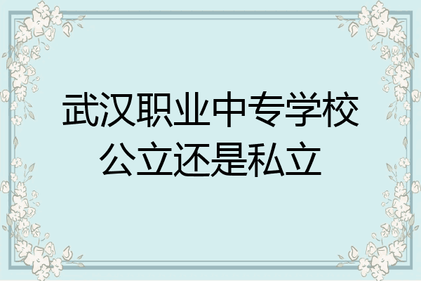 武汉职业中专学校公立还是私立
