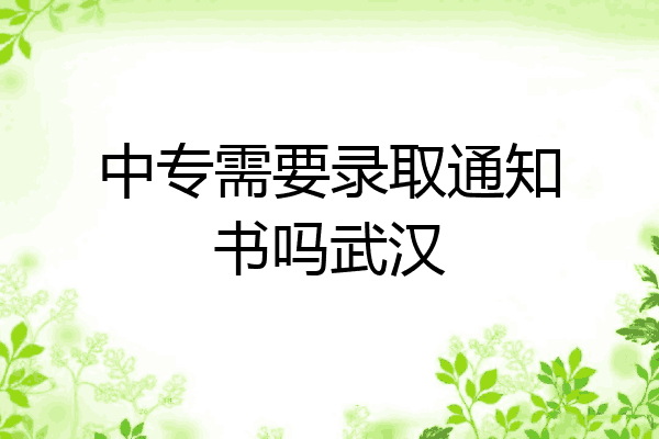 中专需要录取通知书吗武汉