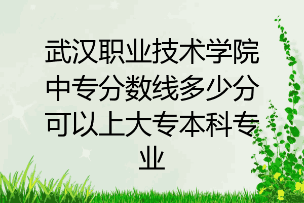 武汉职业技术学院中专分数线多少分可以上大专本科专业