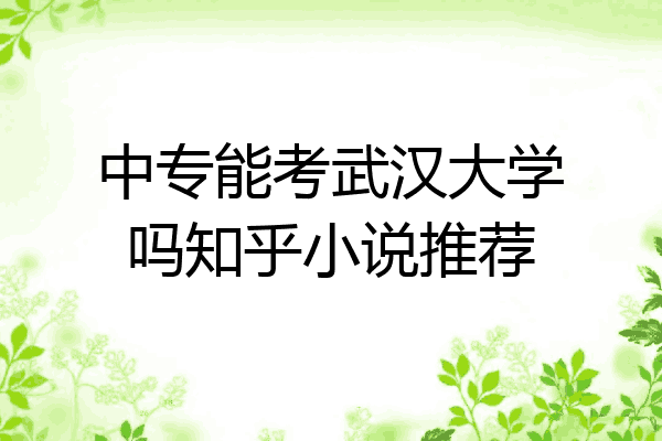 中专能考武汉大学吗知乎小说推荐