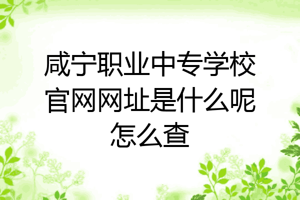 咸宁职业中专学校官网网址是什么呢怎么查