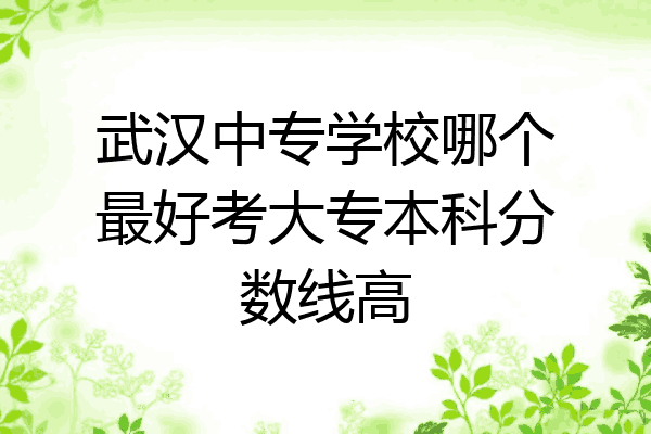 武汉中专学校哪个最好考大专本科分数线高
