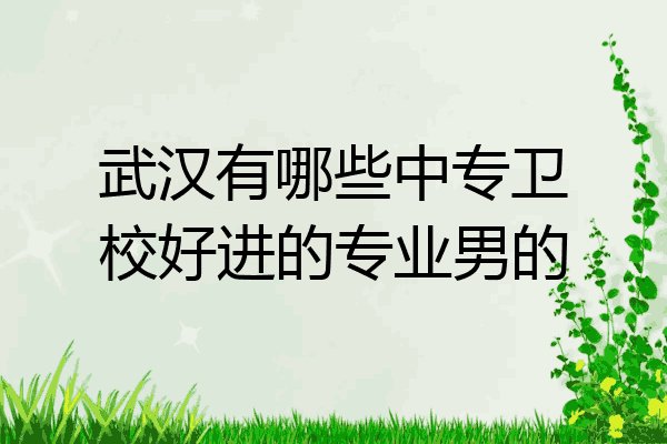 武汉有哪些中专卫校好进的专业男的