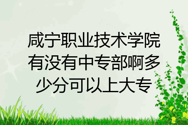 咸宁职业技术学院有没有中专部啊多少分可以上大专
