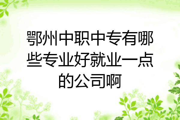 鄂州中职中专有哪些专业好就业一点的公司啊