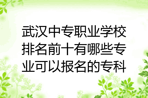 武汉中专职业学校排名前十有哪些专业可以报名的专科