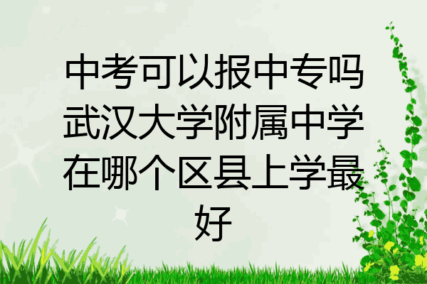 中考可以报中专吗武汉大学附属中学在哪个区县上学最好