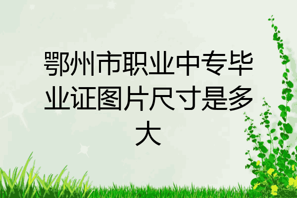 鄂州市职业中专毕业证图片尺寸是多大