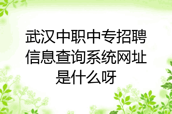 武汉中职中专招聘信息查询系统网址是什么呀