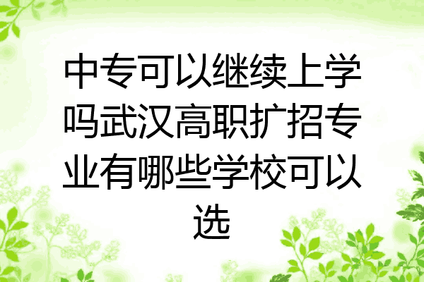 中专可以继续上学吗武汉高职扩招专业有哪些学校可以选