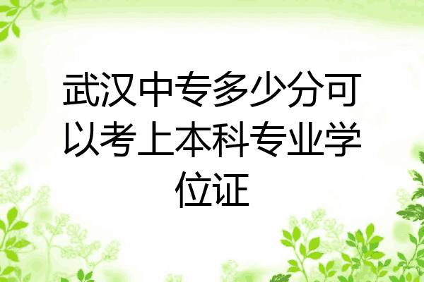 武汉中专多少分可以考上本科专业学位证