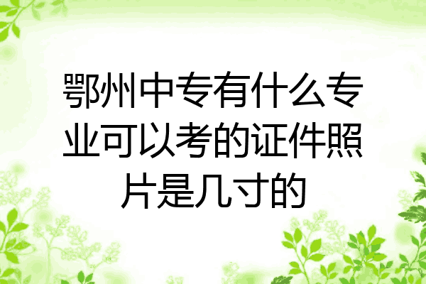 鄂州中专有什么专业可以考的证件照片是几寸的