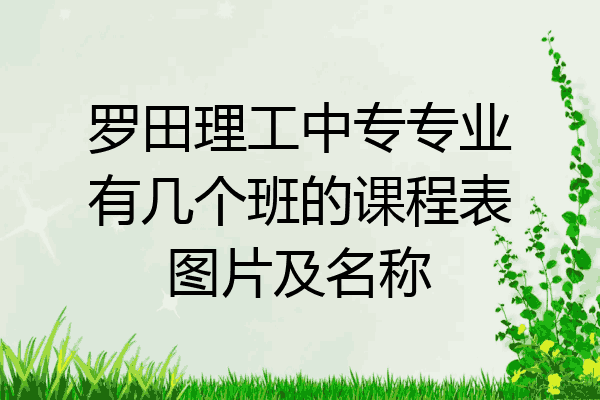罗田理工中专专业有几个班的课程表图片及名称