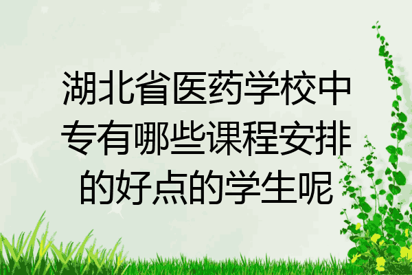 湖北省医药学校中专有哪些课程安排的好点的学生呢