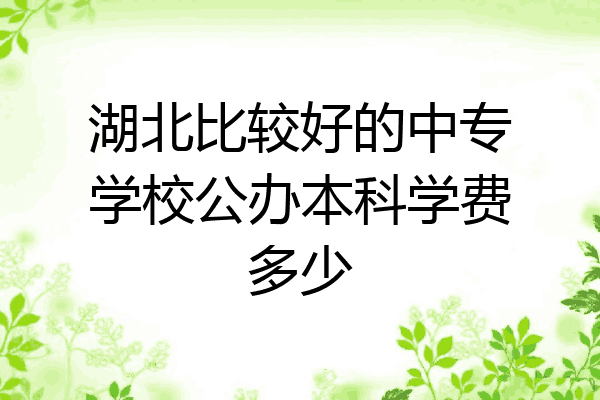 湖北比较好的中专学校公办本科学费多少