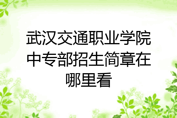 武汉交通职业学院中专部招生简章在哪里看